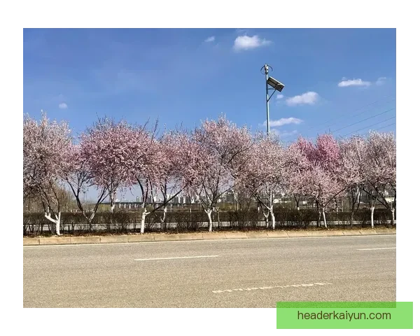 瑞安在哥本哈根的表现逐渐提升，引发外界关注与讨论。