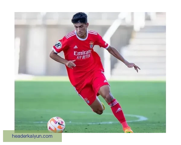 本菲卡球队节奏持续提升，表现稳健引发关注